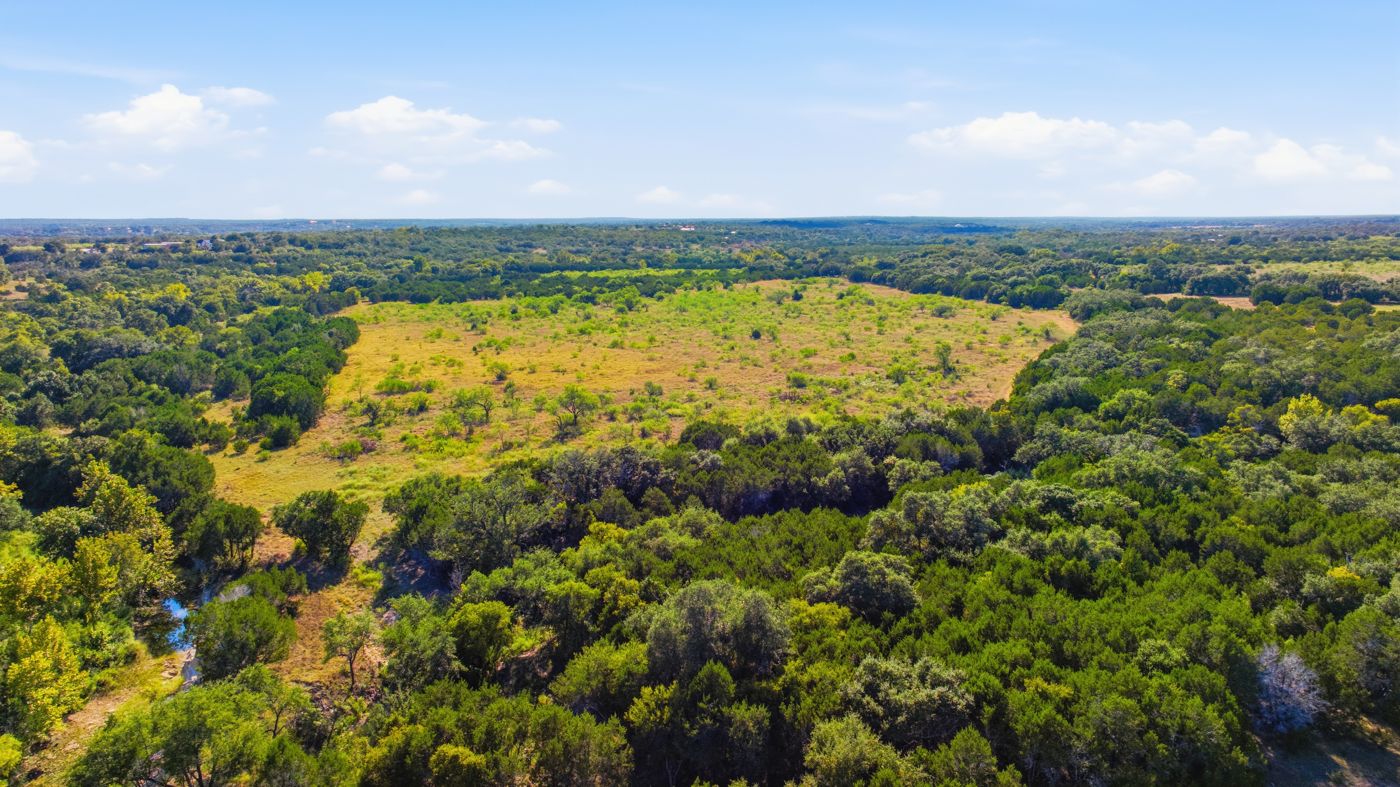 Aerial view of open meadow surrounded by dense tree canopy