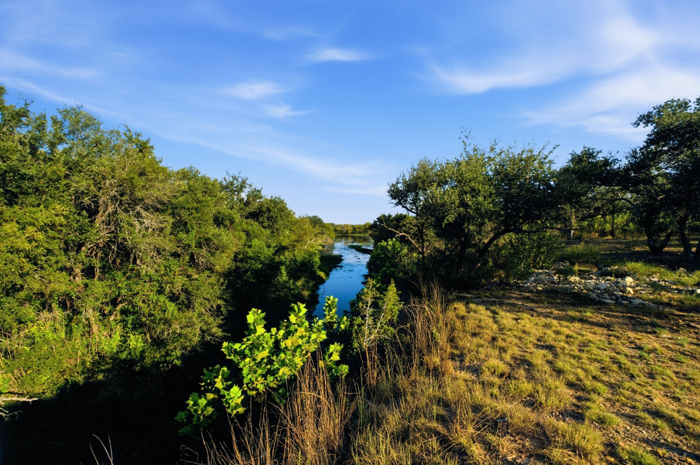 Water running between oak-lined banks under a blue sky
