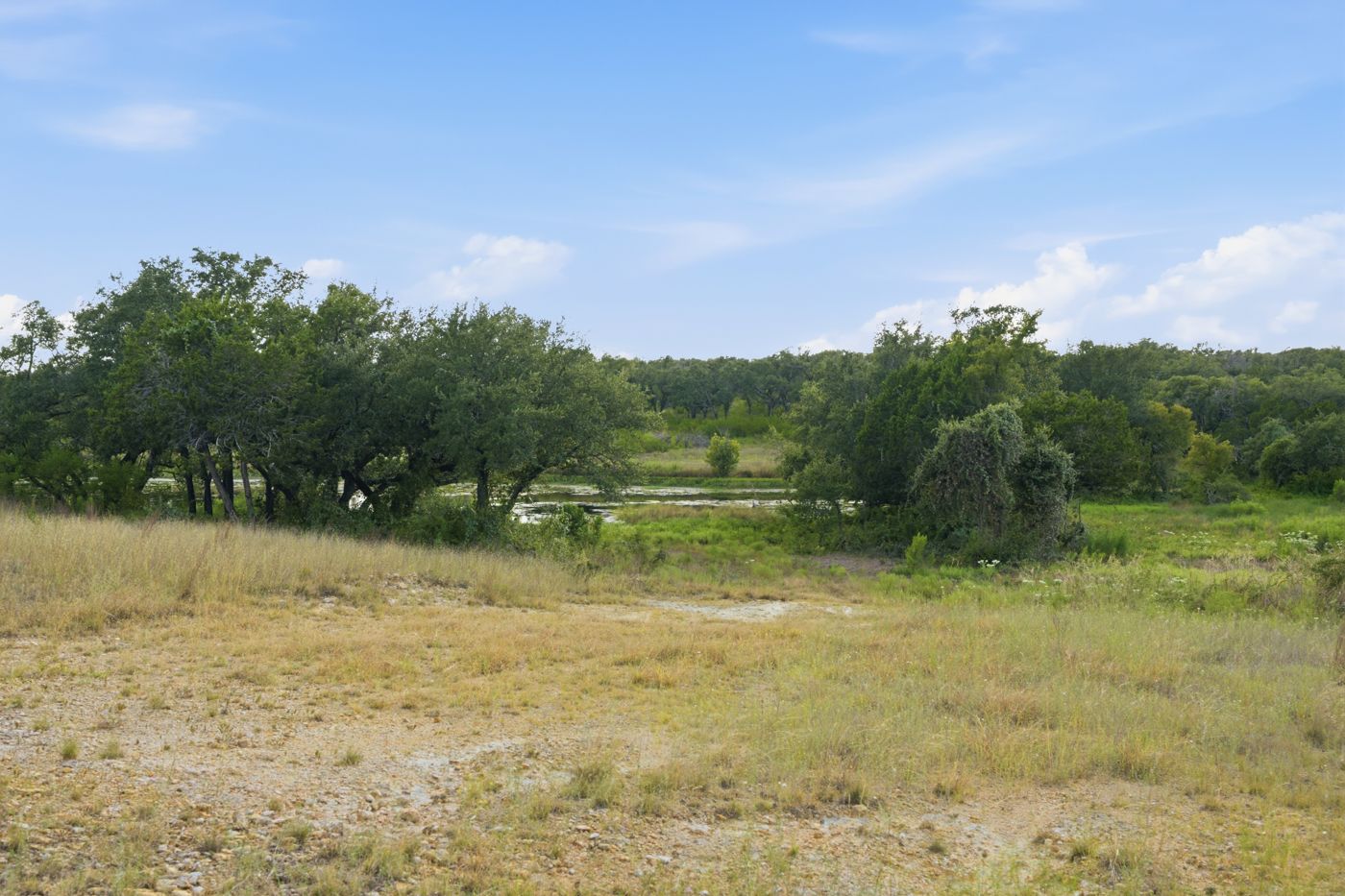 Open meadow with live oaks and water beyond