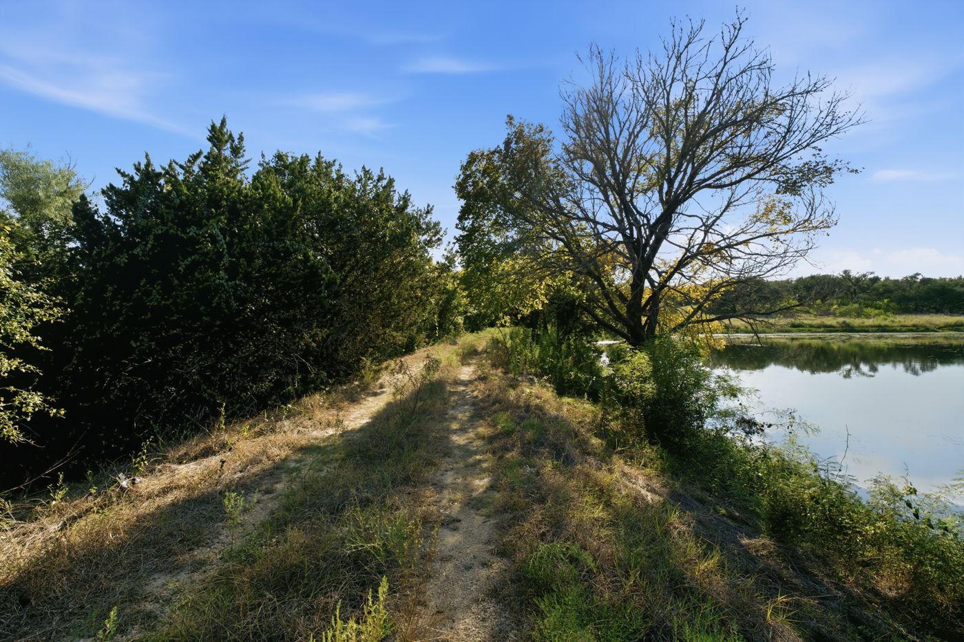 A path along the water's edge beneath large trees