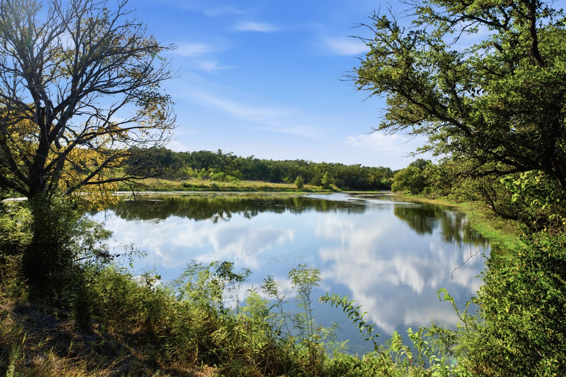 Clouds reflected in still water framed by mature trees at San Gabriel Springs